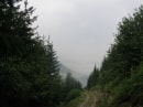 début de montée à la basse du Gerbier